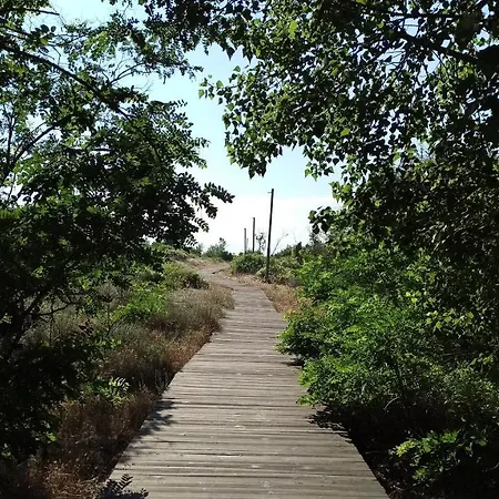 Апартаменти River Park Сонячний Берег