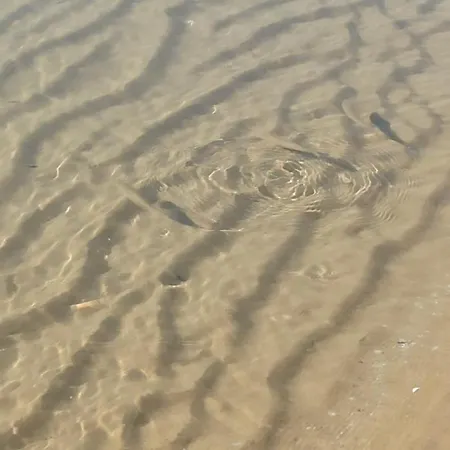 River Park Apartmán Sluneční pobřeží