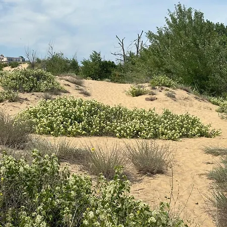 River Park * Sluneční pobřeží