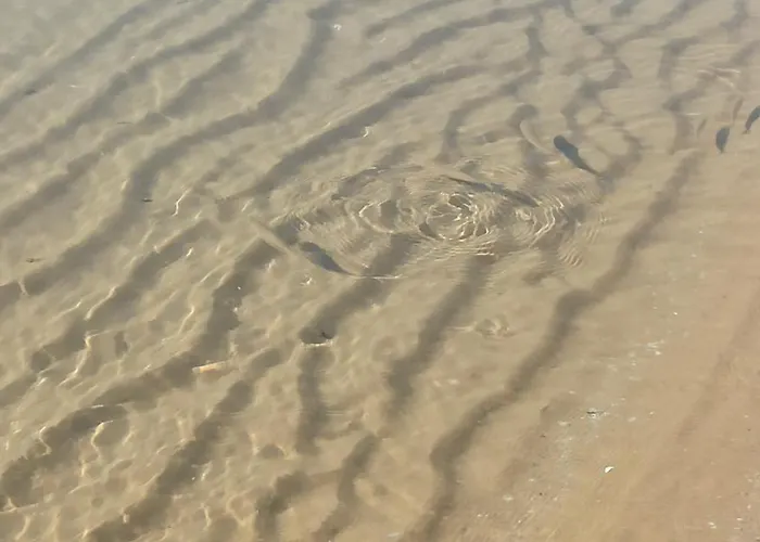 River Park Appartement Slantchev Briag