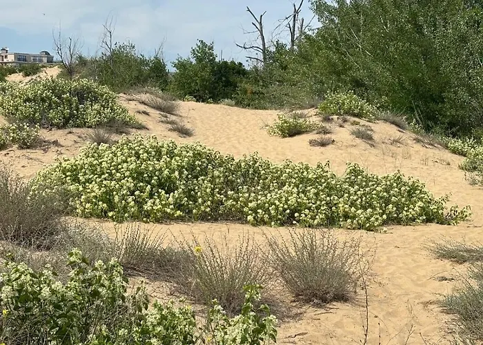 River Park * Slantchev Briag